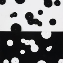 Biogeomtria 2003. Szén - papír, 100x70 cm