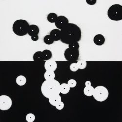 Biogeomtria 2003. Szén - papír, 100x70 cm