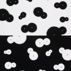 Biogeomtria 2003. Szén - papír, 100x70 cm