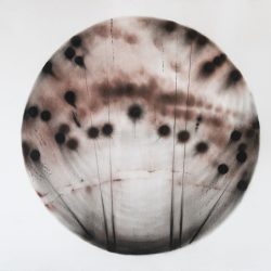 Fekete fény 2019. Szén - papír 70x100 cm