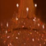 Csillár 2017. Olaj - vászon, 100x80cm