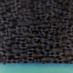 Ahogy én szeretem 2005. Olaj - vászon 70x50 cm