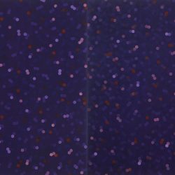 Berzsenyi Dániel Nyugat - magyarországi Egyetem könyvtára. Fényjáték 2006. Olaj - vászon, 200x600 cm