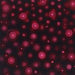 Közel és távol 2010. Olaj - vászon 40x40 cm