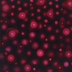 Közel és távol 2010. Olaj - vászon 40x40 cm