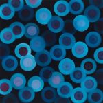 14 kobalt 2010. Olaj - vászon 40x40cm