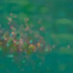 Eső után 2008. Olaj - vászon 50x60 cm