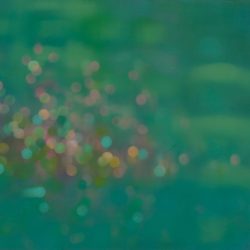 Eső után 2008. Olaj - vászon 50x60 cm