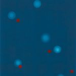 Közel és távol 2010. Olaj - vászon 50x40 cm