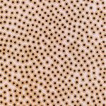 Mozgások és áramlások 2004. Kátrány - papír 100x70 cm