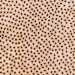 Mozgások és áramlások 2004. Kátrány - papír 100x70 cm