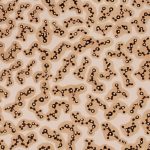 Mozgások és áramlások 2005. Kátrány - papír, 100x70 cm