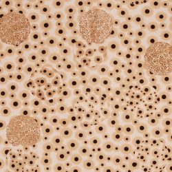 Mozgások és áramlások 2010. Kátrány - papír, 70x100 cm