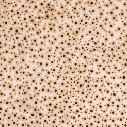 Mozgások és áramlások 2004. Kátrány - papír, 100x70 cm