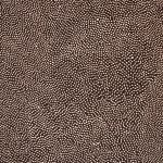 Mozgások és áramlások 2006. Ecolin - fotókarton, 70x100 cm