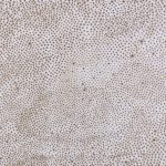 Mozgások és áramlások 2006. Kátrány - vászon, 140x200 cm