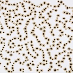 Mozgások és áramlások 2003. Kátrány - papír, 70x100 cm