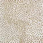 Mozgások és áramlások 2006. Kátrány - papír, 70x100 cm