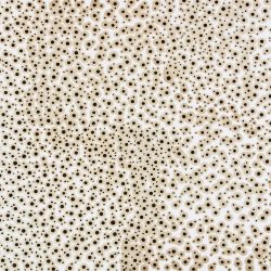 Mozgások és áramlások 2006. Kátrány - papír, 70x100 cm