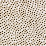 Mozgások és áramlások 2006. Kátrány - papír, 70x100 cm