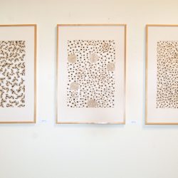 Polyfonia, Szombathelyi Képtár 2011.