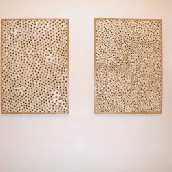 Pozsony 2009. Pálffy Palota