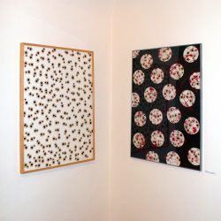 Pozsony 2009. Pálffy Palota